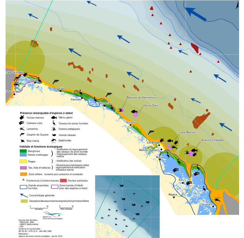 Répartition des espèces