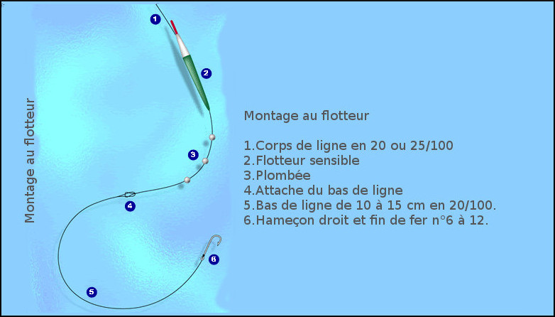 La pêche au flotteur du bord de roches ou d’ouvrages