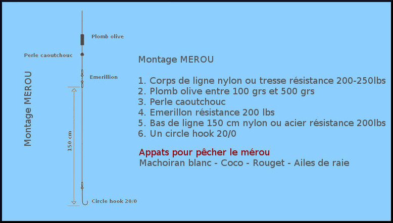 Bas de ligne pêche mérou, carpe rouge